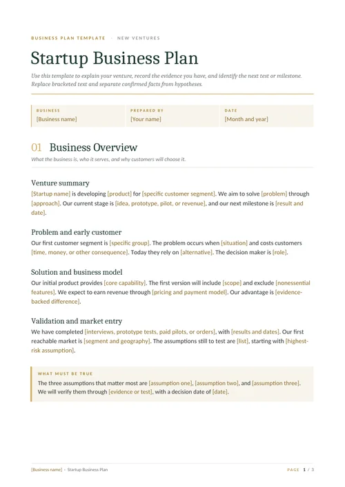First page of the Startup template
